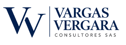 Vargas Vergara Consultores